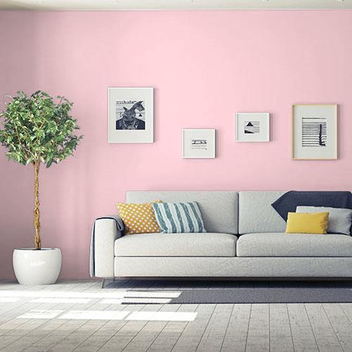 Pleasing Pink PPG1184-2 - PPG Paint