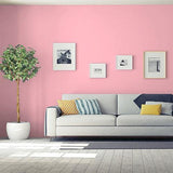 Powder Rose PPG1184-3 - PPG Paint