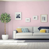 Rose Cloud PPG1048-3 - PPG Paint