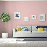 Rose Hip PPG1055-3 - PPG Paint