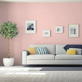 Rose Petal PPG1057-3 - PPG Paint