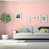 Rose Pink PPG1189-3 - PPG Paint