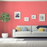 Siesta Rose PPG1188-5 - PPG Paint