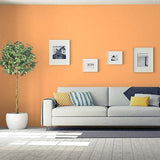 Sorbete De Melon PPG17-21 - PPG Paint