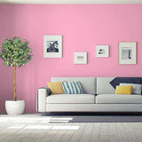 Tickled Pink PPG1181-4 - PPG Paint