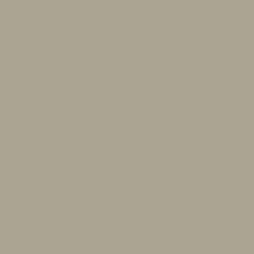 Aldabra - Gray and Golden Neutral Paint Color | PPG Paints PPG14-28 - PPG Paint