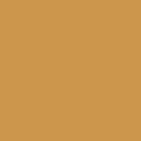 Allspice PPG1207-6 - PPG Paint