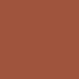 Ancient Copper PPG1063-7 - PPG Paint