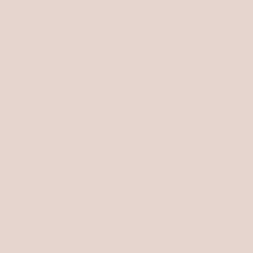 Blossom Pink PPG1016-2 - PPG Paint