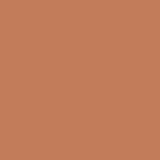 Brown Clay PPG1199-6 - PPG Paint