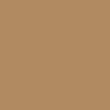 Caramel Kiss PPG1083-6 - PPG Paint