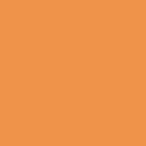 Carmelized Orange PPG1197-7 - PPG Paint