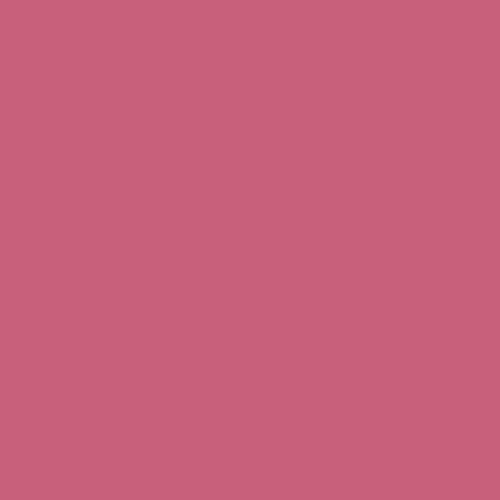 Cherry Pink PPG1183-6 - PPG Paint