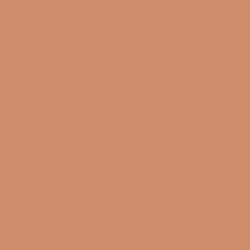 Cinnamon Brandy PPG1199-5 - PPG Paint