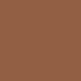 Cinnamon Spice PPG1069-7 - PPG Paint