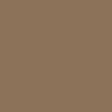 Cocoa Delight PPG1078-6 - PPG Paint