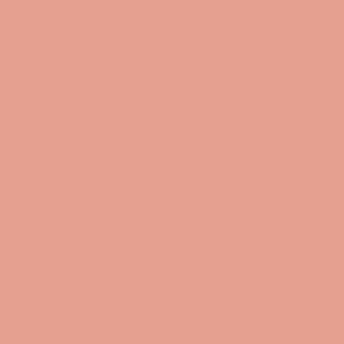 Coral Blush PPG1191-4 - PPG Paint