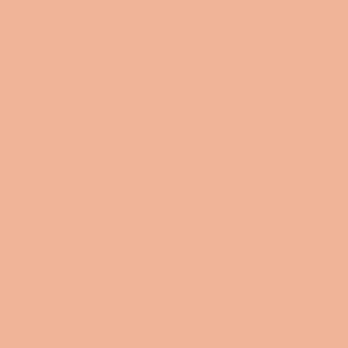 Crab Bisque PPG1195-4 - PPG Paint