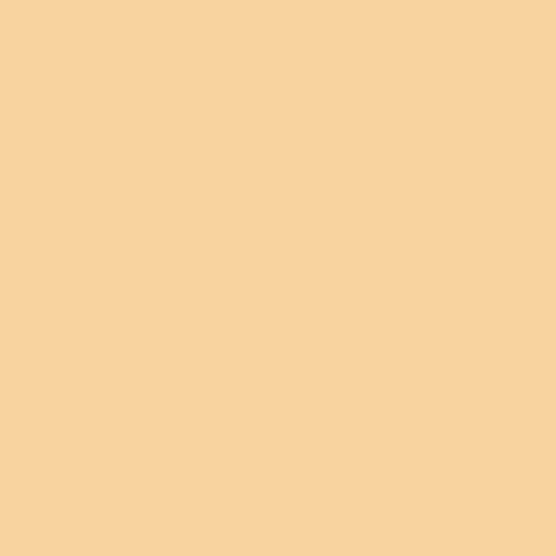 Ginger Peach PPG1203-4- PPG Paint