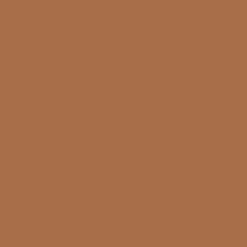 Ginger Spice PPG1070-6 - PPG Paint