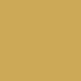 Glorious Gold PPG1107-6 - PPG Paint