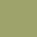 Golden Grass PPG1119-6 - PPG Paint