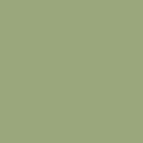 Guacamole PPG1121-5 - PPG Paint