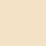 Honey Beige PPG1207-3 - PPG Paint