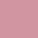 Madagascar Pink PPG1050-4 - PPG Paint