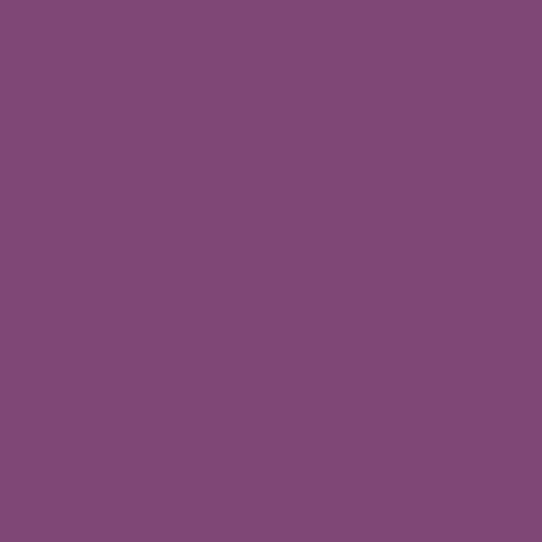 Magic Magenta - PPG1180-7 PPG Paint