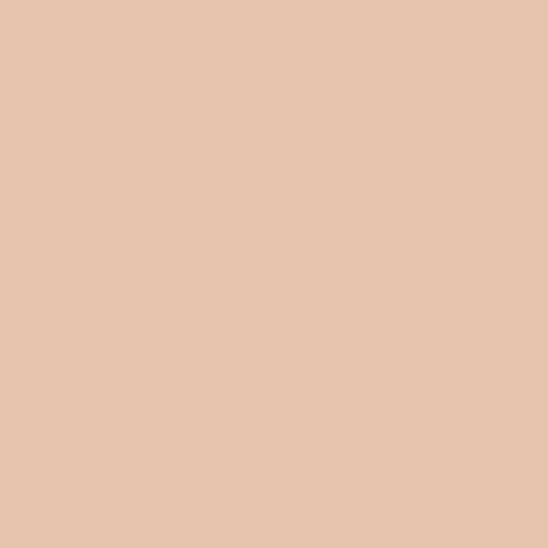 Peach Beauty PPG18-27 - PPG Paint