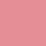 Pink Flambe PPG1186-4 - PPG Paint