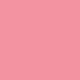 Pink Punch PPG1184-4 - PPG Paint