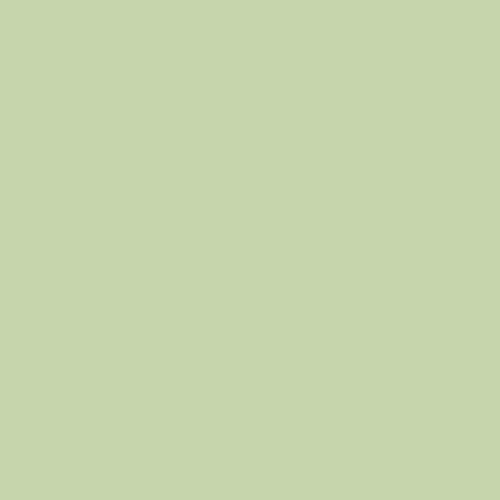 Pistachio Pudding PPG1120-4 - PPG Paint