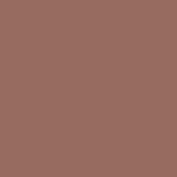 Safari Brown PPG1061-6 - PPG Paint