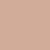 Sombrero Tan PPG16-01 - PPG Paint