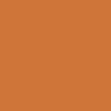 Tiger Tail PPG1198-6- PPG Paint