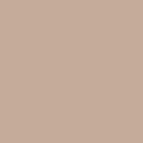 Transcend PPG1079-4 - PPG Paint – Randall's