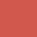 Wet Coral PPG1189-6 - PPG Paint