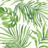 Paradise Palm Wallpaper by Open Sheet