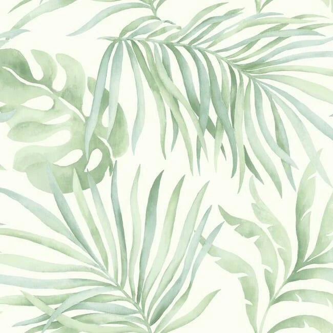 Paradise Palm Wallpaper by Open Sheet