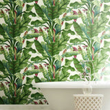 Banana Leaf Wallpaper by Legacy