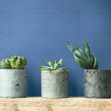 Linen Crosshatch Wallpaper by Legacy