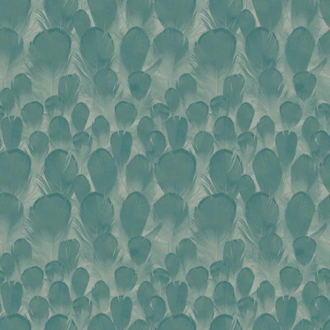 Feathers Wallpaper by Antonina Vella Wallpaper