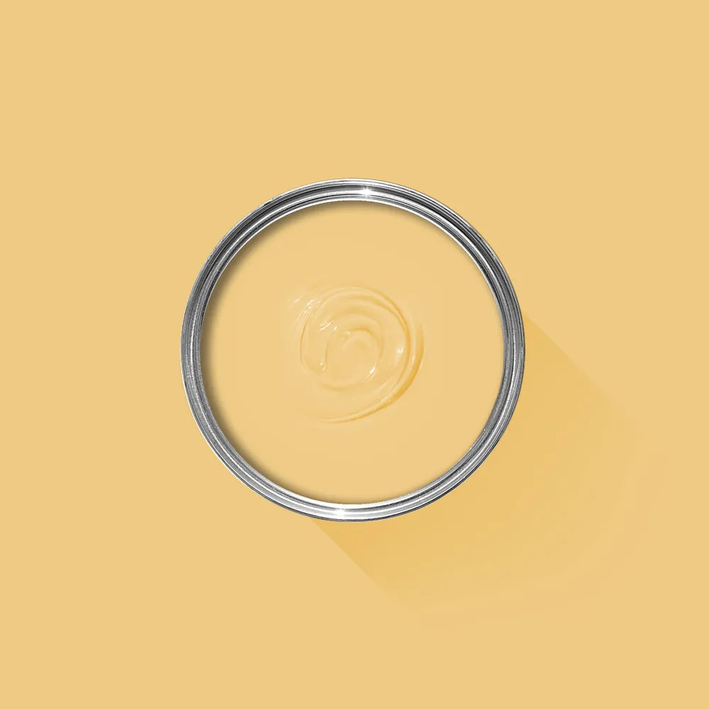 Yellow Ground No. 218 - Farrow & Ball Paint