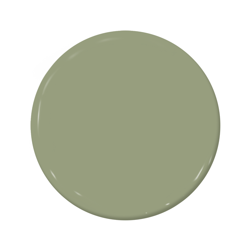 Saguaro (C2-665)