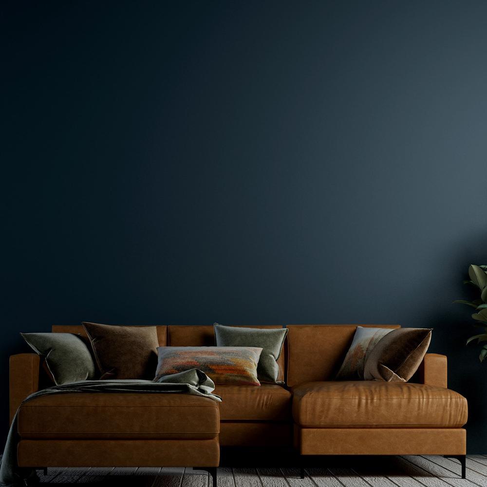 C2-725 Titan - C2 Paint – Randall's